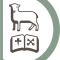 Diocese of Down and Dromore